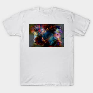 Looking Past The Chaos T-Shirt